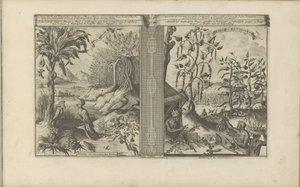 Planten, vogels en pepervelden Loua, ananasmusa / Intian kasvit ja linnut // Peeper-Gewassen / Pepper Plantation (otsikko esineessä) Itä- ja Länsi-Intia ja muut paikat (sarjan nimi) tekijältä Romeyn de Hooghe