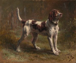 Bloodhound Briquet Hound, n. 1856.