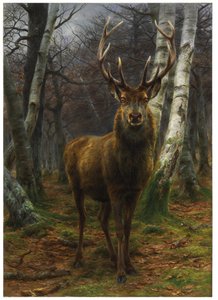 Metsän kuningas, 1878