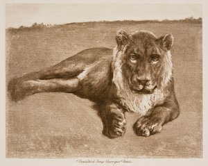  tekijältä Rosa Bonheur