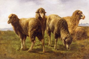 Niityllä laiduntavat lampaat, tekijältä Rosa Bonheur