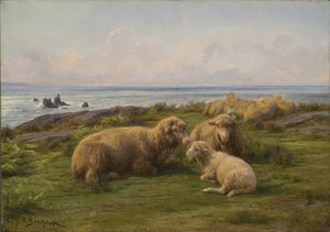 Lampaat meren rannalla tekijältä Rosa Bonheur