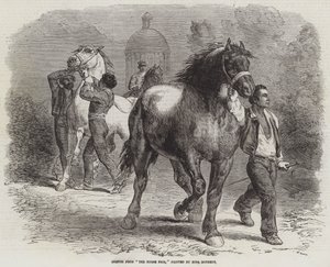 Luonnos hevosmessuista tekijältä Rosa Bonheur