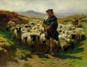 Ylämaanpaimenkoira, 1859 tekijältä Rosa Bonheur