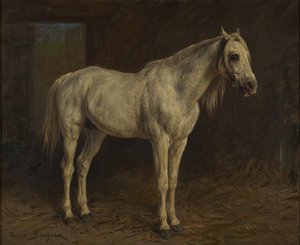 Valkoinen hevonen tekijältä Rosa Bonheur