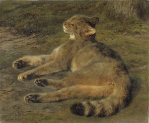 Villikissa, 1850
