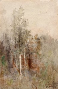 Puututkimus, 1879. tekijältä Ross Turner