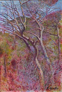 Maisema, studio, n. 1907 tekijältä Rubaldo Merello