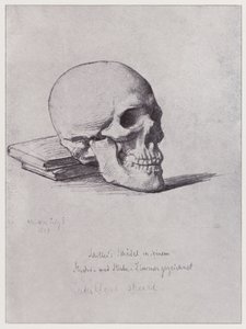 Schillerin kallo (litho)