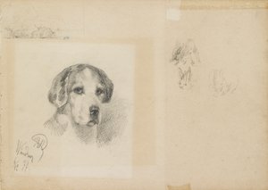 Koiran muotokuva: Windsor, 1877 tekijältä Rudolf Wimmer