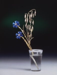 Ruiskukat ja maissin tähkät, Faberge Workshop, 1880-luku