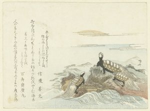 Kilpikonnat kivellä tekijältä Ryuryukyo Shinsai