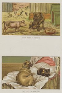Humoristiset koirat (chromolitho) tekijältä S.T. Dadd