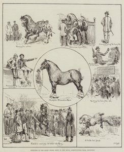 Luonnoksia Shire Horse Showssa Royal Agricultural Hallissa Islingtonissa