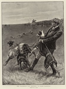 Waterloo Cupin kokous, harvinainen kourallinen