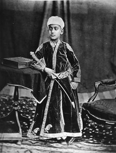 Hyderabadin nizam, 1877