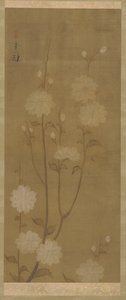 Roikkuvat kirsikanoksat kukkivat, Edo-kausi, 1700-luvun puoliväli - 1800-luvun alku. tekijältä Sakai Hoitsu