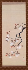 Riippuva kirjakäärö, joka kuvaa kirsikankukkia, kolmesta vuodenajasta, japanilainen, 1800-luvun alku