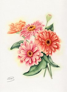 Värikäs zinnia-kukkakimppu tekijältä Salome