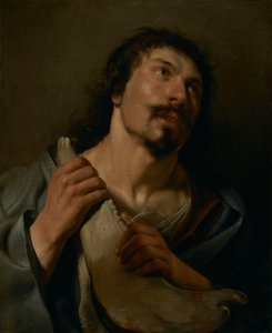 Samson ja Jawbone tekijältä Salomon de Bray