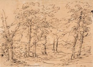 Maisema, taustalla puita ja vuoria tekijältä Salvator Rosa