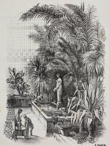 Laocoonte e seus filhos, estátua romana, litografia de Salvatore Puglia de Poliorama Pittoresco, n 1, 13 de agosto finlandês tekijältä Salvatore Puglia
