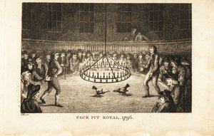 Pelaajat katsovat kukkotaistelua kynttilänvalossa Cock Pit Royalissa, St tekijältä Samuel (after) Howitt
