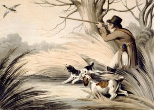 Shooting Duck, kaiverrus H. Merke, n.1809 (väri litho)