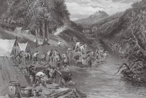 Australia: (kaiverrus): Alluvial Gold Washing (kaiverrus)