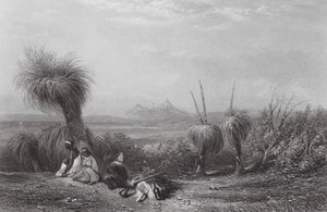 Australia: Grass Tree Plains (kaiverrus).