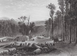 Australia: Marysville, Victory (kaiverrus).