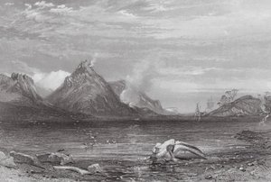 Australia: Whaling Station (kaiverrus). tekijältä Samuel (after) Prout