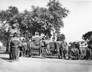 Ryhmä H E:n varakuninkaan norsuja ja heidän tilansa, noin 1860-luku tekijältä Samuel Bourne