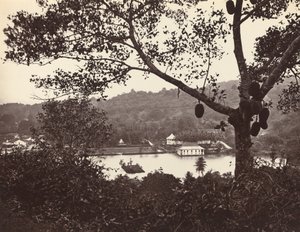 Kurkistus Upper Lake Roadilta, jossa näkyy temppeli ja saari puistoineen - hedelmäpuu etualalla, vuodelta 1865. tekijältä Samuel Bourne