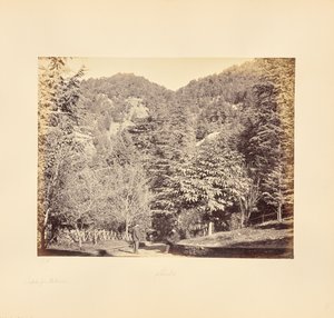 Simla; Jakko, "Oakoverista" (Yleisnäkymä Tongan tieltä). tekijältä Samuel Bourne