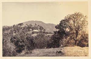 Simla; "Peterhof" tekijältä Samuel Bourne