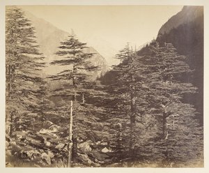 Lumiset huiput lähellä Gangootria Bhairamghatista. Valokuvaaja: Bourne, Samuel Valokuvien albumi Intiasta, pääasiassa Samuel Bourne1866 tekijältä Samuel Bourne