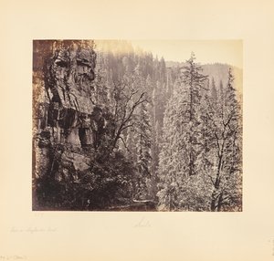 Näkymä Narkundan metsässä tekijältä Samuel Bourne