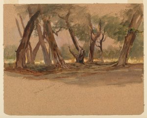 Xiprers, Chapultepec, Mèxic-finès tekijältä Samuel Colman