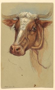 Piirros, Luonnoksia Narragansettista, Rhode Islandista, 1871. tekijältä Samuel Colman