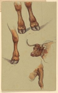 Piirros, luonnoksia Narragensettistä, Rhode Islandista. 1871. tekijältä Samuel Colman