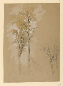Oaks, Lady Wood Lane, Irvington tekijältä Samuel Colman