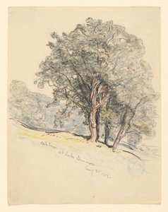 Tammipuiden tutkimus Dunmore-järvellä, Vermontissa tekijältä Samuel Colman