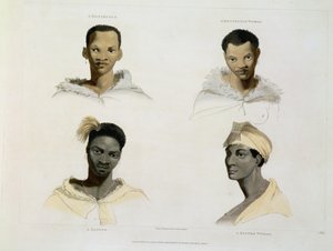 Hottentott, hotentott nainen, kaffre, kaffren nainen: neljä pää- ja olkapäävinjettiä, levy 14 Afrikan maisemista ja eläimistä, taiteilijan kaiverrus, 1804 (akvatinta)