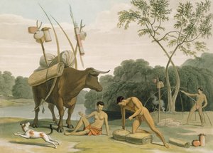 Korah Hottentots Preparing to Remove, levy 20 Afrikan maisemista ja eläimistä, taiteilijan kaiverrus, 1805 (akvatinta) tekijältä Samuel Daniell