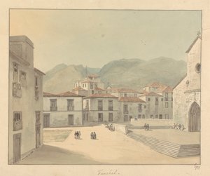 Funchal, Madeira: aukio ja kirkko tekijältä Samuel Davis