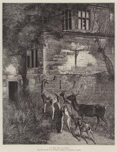 Kummitus tekijältä Samuel Edmund Waller