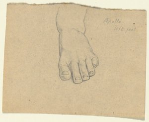Tutkimus Jupiterin tuomiosta (Apollo, vasen jalka) tekijältä Samuel Finley Breese Morse