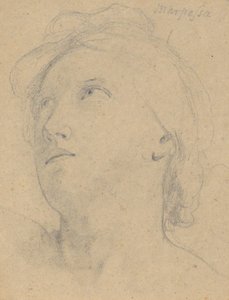 Tutkimus Jupiterin tuomiosta (Marpessa, pää) tekijältä Samuel Finley Breese Morse