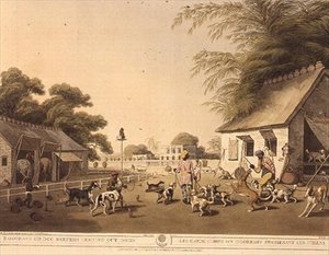 "Dooreahs or Dog Keepers Leading Out Dogs", Samuel Howettin (1756-1822) Oriental Field Sportsista, pub. Kirjailija: Edward Orme tekijältä Samuel Howett